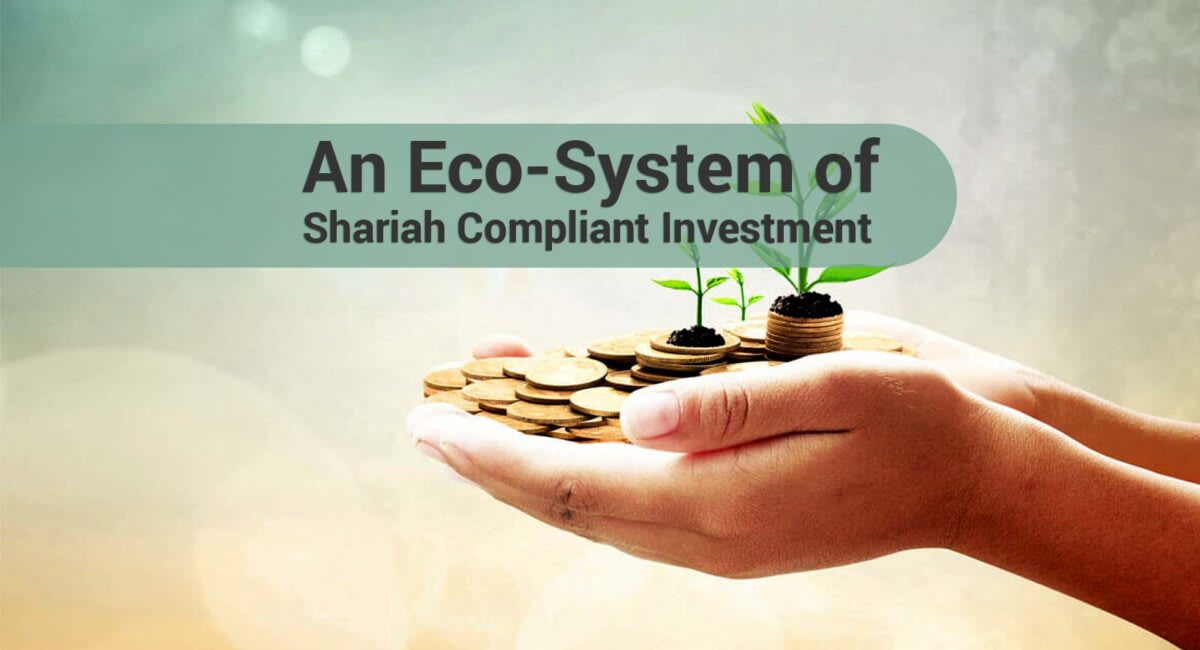 An Eco-System of Shariah Compliant Investment